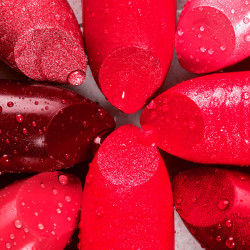 Aliquid exercitationem velit necessitatibus sed.